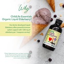 CHILDLIFE Essentials Organic Elderberry Syrup for Kids - Liquid Elderberry for Toddlers, Elderberry Extract Drops, Tincture for Babies, Toddlers, Children - 4 Fl Oz 4