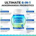 Akkermansia Probiotic, GLP-1, Live Strain Probiotics for Women & Men, GLP 1 Supplement for Gut Health, Digestive, Metabolic*, Immune, with Chromium, Green Tea Leaf, 60 Capsule 5