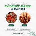 Pure Berberine Supplement - 1300mg Berberine with Ceylon Cinnamon for Metabolism & Immune System Support - 60 Servings 5