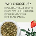 Evergreen Herbs Epazote De Comer Herb - (Wormseed) 8 oz. - wormseed, Jesuit's tea, Mexican-tea, payqu (paico), epazote, or herba sancti Mariæ. - Resealable Stand Up Pouch to Ensure Freshness! 6