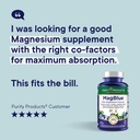 Purity Products MagBlue - Magnesium Bisglycinate Buffered & More - 90 Tablets 3