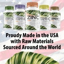 Omega 3 Fish Oil 2000mg HIGH Potency 800mg EPA DHA 600mg BURPLESS Supplement Non GMO Omega 3 Fatty Acid Supplements HIGH DOSE Fish Oil for Dogs Cats Humans Made in USA 5