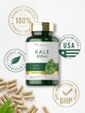 Carlyle Kale Extract 800mg | 120 Capsules | Non-GMO and Gluten Free 6