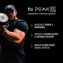 Jacked Factory PRIMASURGE Testosterone Booster for Men (60 Capsules) & Build-XT Daily Muscle Builder & Performance Enhancer | Muscle Building Supplements for Muscular Strength & Growth 6