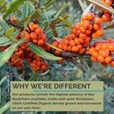 SeabuckWonders Sea Buckthorn Seed Oil,100% Certified Organic, 1 FL OZ 6