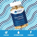 Trace Minerals ConcenTrace Trace Mineral Capsules - ConcenTrace Capsules for Overall Health - Bone Strength, Muscle Recovery & Energy Support - Gluten-Free & Vegan - 90 Count (30 Servings) 5