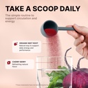 Nature's Pure Blend Organic Beet Root Powder – Nitric Oxide Booster L-Arginine – Liquid Beets for Blood Flow Circulation & Energy – Pre-Workout Endurance Support – 8,000 MG 5