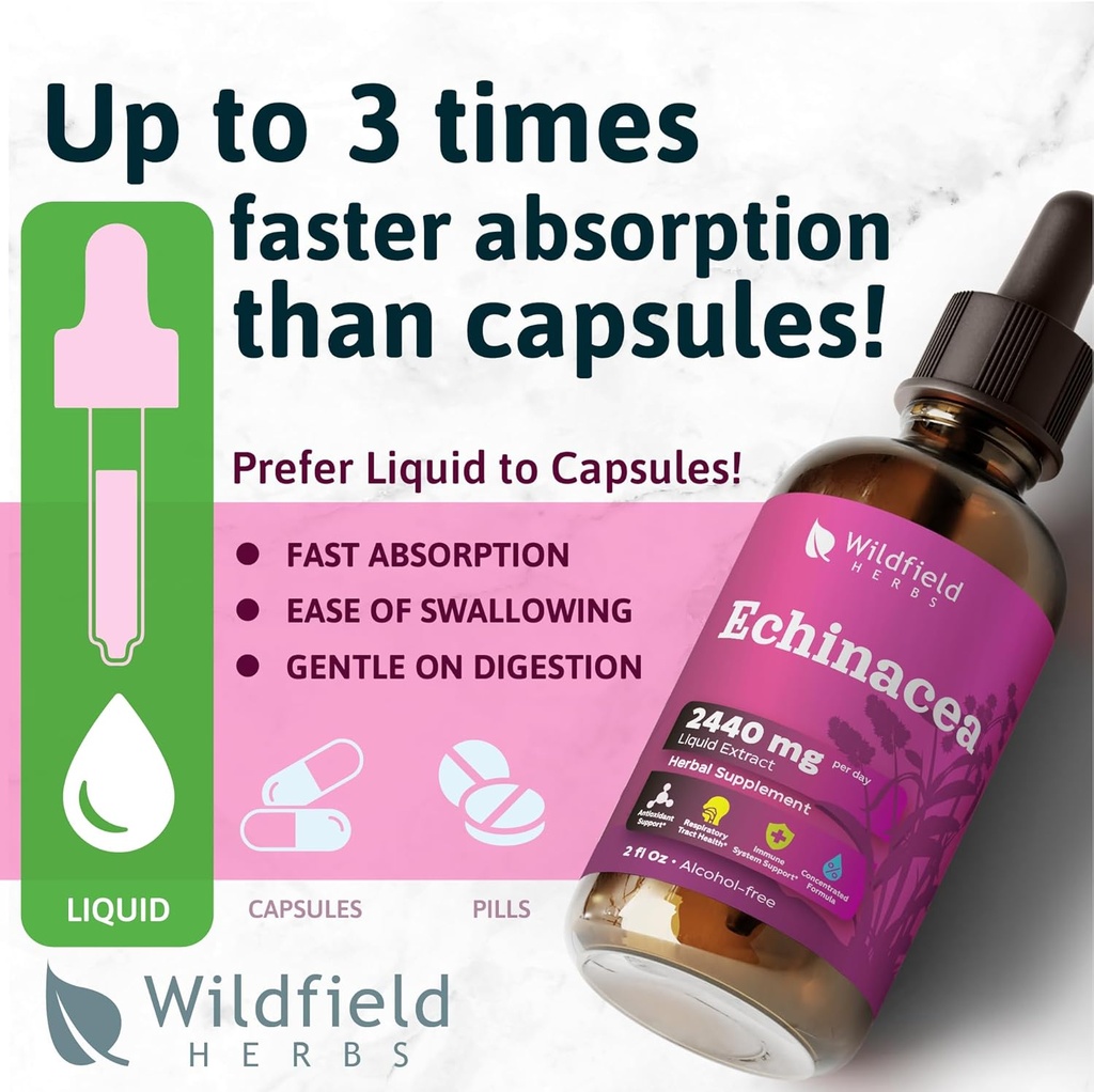 Liquid Echinacea Extract - Echinacea Root Drops Tincture 2440mg (Echinacea purpurea) Herbal Supplement Absorbs Better Than Capsules, 1 Month Supply, 84 Servings, Alcohol-Free - 2 Oz, Pack of 1 5