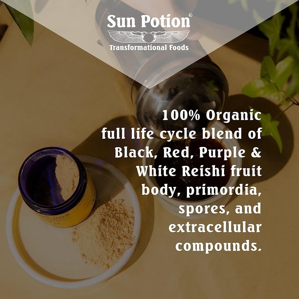 Sun Potion Reishi Mushroom Powder (Organic) - (100g) 3