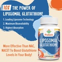 2400MG Liposomal Glutathione, with Vitamin C, Milk Thistle & Alpha-Lipoic Acid, Master Antioxidants, Pure Reduced L-Glutathione - Immune System, Cell Repair, Energy, High Absorption, 360 Softgels 5