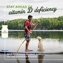 Swanson Vitamin D Complex with Vitamins D2 & D3 - Complete Sunshine Vitamin Complex for Bone, Dental & Immune Health - Vitamin Supplement (50 mcg, 60 Veggie Capsules) 3