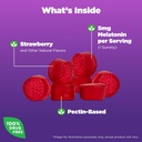 Natrol Melatonin 5mg Gummies 140ct & 90ct Strawberry Sleep Support 5