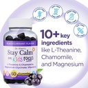 Dr. Klein's Stay Calm Kids Gummies – Magnesium Glycinate + Vitamin A, L-Theanine, Chamomile Extract – Promote Focus & Calm for Ages 5+ – Magnesium Gummies for Kids–Black Currant, Zero Sugar, 60 Count 3