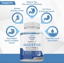 Labs Natural Digestive Enzymes & Probiotic Supplement for Adults, 60 Capsules - Nutritious Blend of Digestive Enzymes & Advantage Probiotic for Digestion & Digestive Health. 3