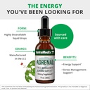 NutraMedix Energy Support Bundle - Includes Adrenal Energy Support Liquid Drops and Magnesium Malate Capsules for Energy & Athletic Support - No Caffeine - 2-Piece Supplement Set 3