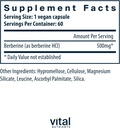Vital Nutrients Berberine |Supports Bowel Function and Normal Triglyceride Levels |Vegan Supplement| Gluten, Dairy, and Soy Free |500 mg |60 Capsule 3