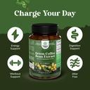 Bundle of Pure Green Coffee Bean Extract with 50% Chlorogenic Acid for Antioxidant Heart Health Mental Focus and Tasty Fiber Gummies with Prebiotic Soluble Chicory Root for Immunity Digestive Support 5