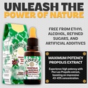 Pon Lee Brazil Green Bee Propolis Liquid Extract No Alcohol 30ML 1 Pack 4