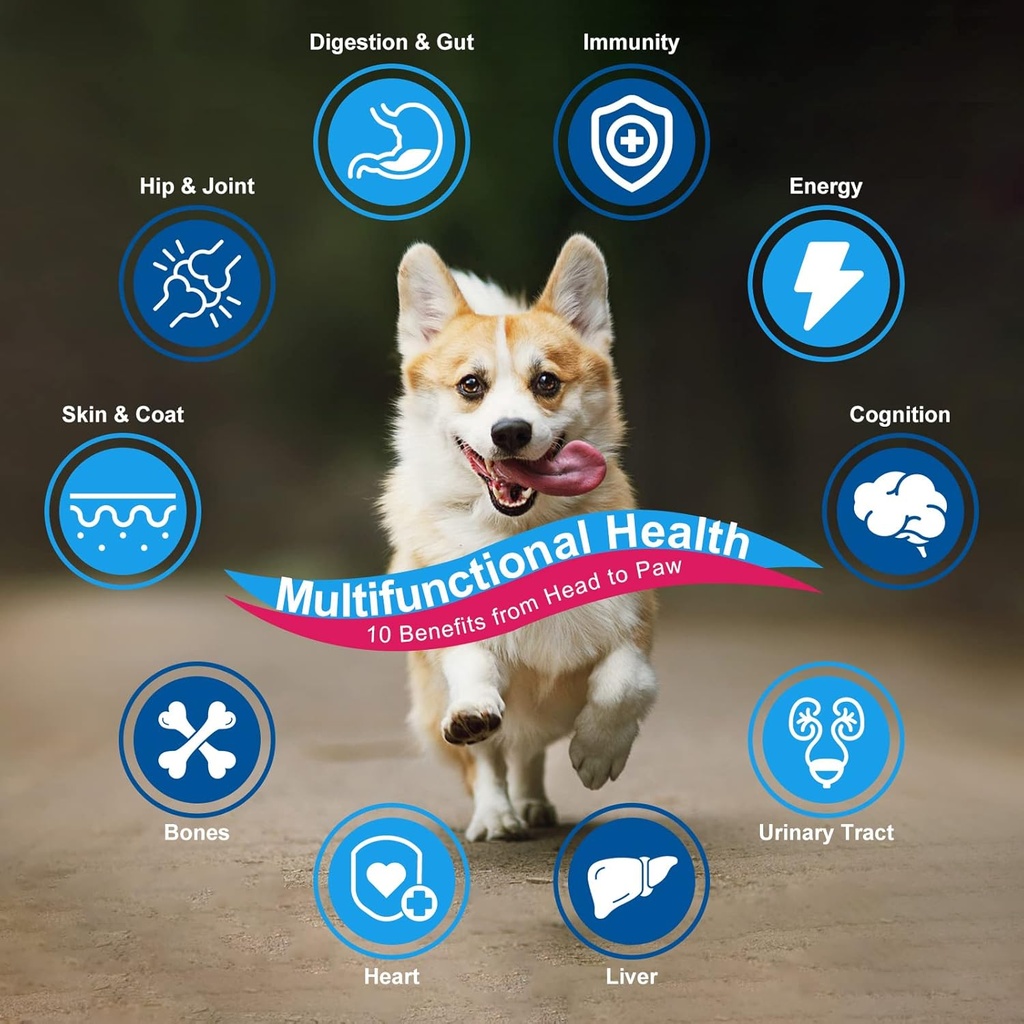 NATURE TARGET Dog Vitamins Powder, Probiotics & Digestive Enzymes for Gut Health, Glucosamine & Chondroitin & Omega 3, Complete Supplement for Homemade Dog Food, Joint & Skin & Immune Support 4