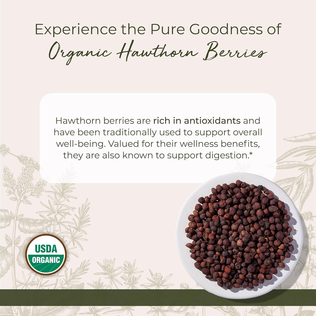 Starwest Botanicals Organic Hawthorn Berries Whole - Dried Loose Leaf Herb for Tea, Jam, & Herbal Extracts, Natural Digestion Support, Certified Kosher, Non-GMO - Bulk 1 lb Bag 3