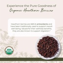 Starwest Botanicals Organic Hawthorn Berries Whole - Dried Loose Leaf Herb for Tea, Jam, & Herbal Extracts, Natural Digestion Support, Certified Kosher, Non-GMO - Bulk 1 lb Bag 3