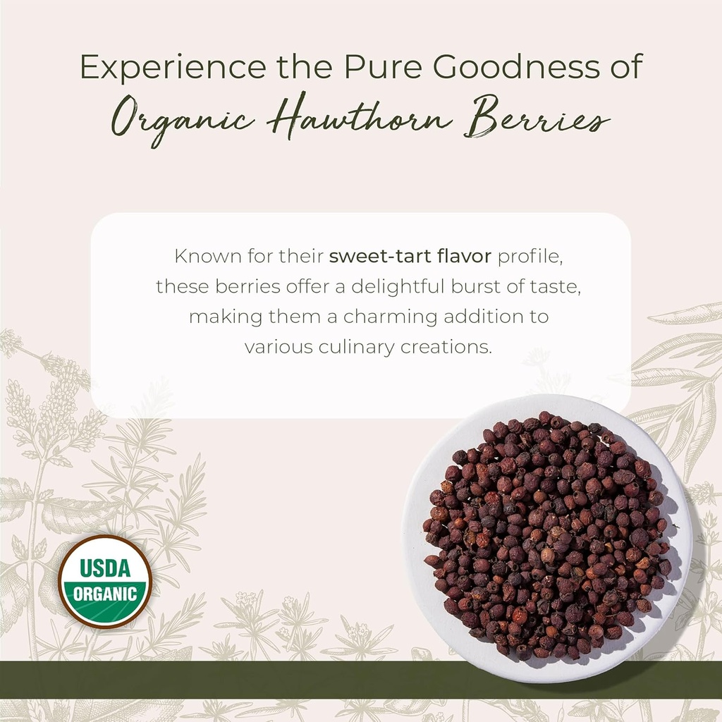 Starwest Botanicals Organic Hawthorn Berries Whole - Dried Loose Leaf Herb for Tea, Jam, & Herbal Extracts, Natural Digestion Support, Certified Kosher, Non-GMO - Bulk 1 lb Bag 4