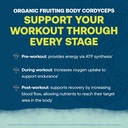 True Grace ElectroMag - Grapefruit (16 Stick Packs) + Lemon Lime (16 Stick Packs) - Electrolyte Powder for Rapid Hydration - Zero Sugar & Carbs - Non-GMO - 32 Total Servings 6