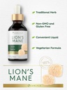 Carlyle Lions Mane Mushroom Supplement | 2 Fl Oz | Liquid Extract Tincture | Vegetarian | Non-GMO, Gluten Free 5