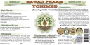 Hawaii Pharm Yohimbe Alcohol-Free Liquid Extract, Yohimbe Liquid (Pausinystalia Yohimbe) Dried Bark Glycerite Natural Herbal Supplement, USA 64 fl.oz 3