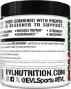 Evlution EVL BCAAs Amino Acids Powder - BCAA Powder Post Workout Recovery Drink and Stim Free Pre Workout Energy - 5g Branched Chain Amino Acids Supplement for Men - Cherry Limeade 5