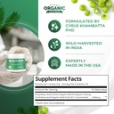 Amla Powder & Decaf Green Tea Superfood Supplement, 20x Ultra Concentrated Amla, Antioxidant Support, Made with Oolong Tea and Indian Gooseberries, Organic, Vegan, Decaf, 30 Servings 3