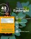 Herb Pharm Certified Organic Eyebright Liquid Extract for Respiratory System Support - 1 Ounce, clear 3
