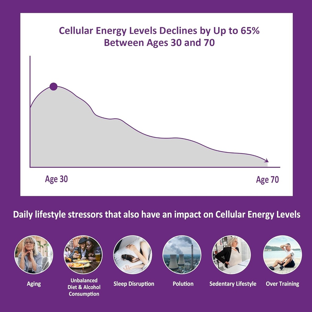 NEVISS Vegan Iron Supplement, Gentl Iron + Sugar Free Nicotinamide 500mg Gummies 4