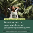 Gaia Herbs Thyroid Support - Made with Ashwagandha, Kelp, Brown Seaweed & Schisandra to Support Healthy Metabolic Balance & Overall Well-Being* - 120 Vegan Liquid Phyto-Capsules (40-Day Supply) 6