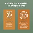 MaryRuth Organics Reishi Vegan Mushroom Supplement | Ultra Absorption Liposomal | Immune Support with 200mg Beta-Glucans, Vegan |Full Spectrum Reishi Mushrooms Fruiting Body | 7.6 oz, 5