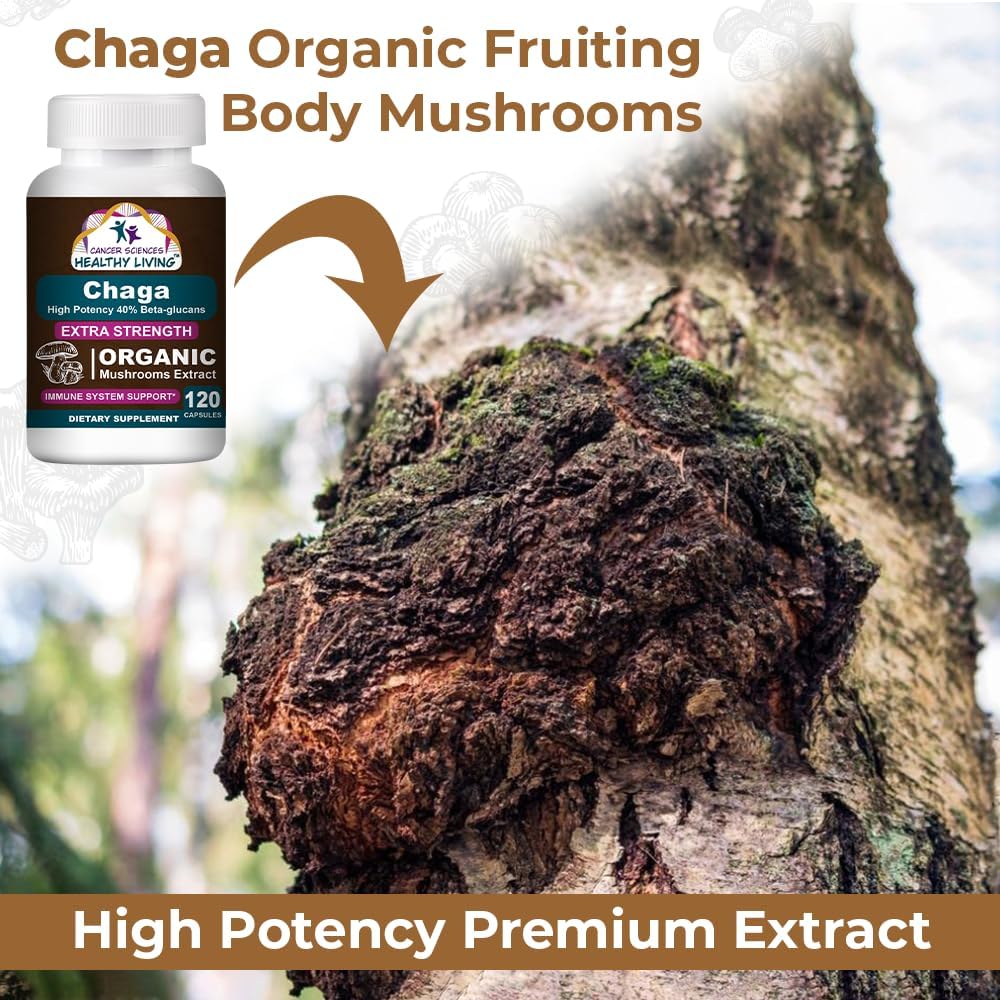 Cancer Sciences Chaga Wellness Mushrooms Supplement, USDA Certified Organic Mushroom Extract, Extra Strength 1,500 mg, High Potency 40% Beta-Glucans, Immune Support, Gut Health, Antioxidant, 120 Caps 6