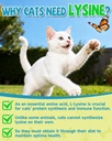 L-Lysine for Cats,Lysine Drops Immune Support Supplement,Sneezing,Cold,Allergy Relief,Runny Nose,Feline Respiratory,Natural Antibiotics for Cats with Colostrum,Taurine (Roast Chicken Flavor/2floz) 3