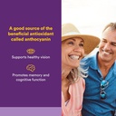 BlueRich by Natural Factors, Super Strength Blueberry Concentrate, Antioxidant Support for Overall Good Health, 90 Softgels 3