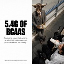 Levels Grass Fed Whey Protein Powder, No Artificials, 24G of Protein, Chocolate Peanut Butter, 2LB 6