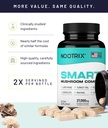 Nootrix Smart Mushrooms Complex Supplement | Supports Memory, Mental Focus, Cognitive Health & Energy | 27,000mg Organic Mushrooms | Lions Mane, Reishi, Cordyceps, Chaga & Turkey Tail | 240 Capsules 6