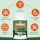 3250 MG Liposomal Glutathione Supplement,Reduced L-Glutathione with Resveratrol,Quercetin, Antioxidant Supplement for Immune System,Gluten Free & Non-GMO, 60 Capsules 6