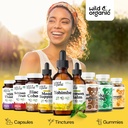 Wild & Organic Yohimbe Supplements for Men & Women - 5 mg Yohimbine Liquid Extract Drops - Pausinystalia Yohimbe Bark Tincture - Vegan, Alcohol-Free - 2 fl oz 6