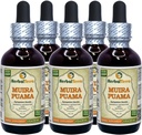 Muira Puama (Ptychopetalum Olacoides) Glycerite, Organic Alcohol-Free Liquid Extract (Brand Name: HerbalTerra, Proudly Made in USA) 2 fl.oz (60 ml) 4