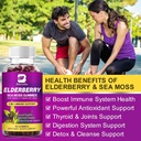 Elderberry Gummies & Irish Sea Moss, Organic Sambucus Elderberry Gummy with Seamoss, Zinc, Vitamin C, D3, Multivitamin Elderberry Vitamin & Energy Support Supplements - Sugar-Free 5