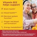 Nature Made Zero Sugar Energy Vitamin B12 Gummies 1000 mcg per Serving, B12 Vitamins, Energy Metabolism Support, Aspartame Free, 110 Sugar Free Gummies, 55 Day Supply 3