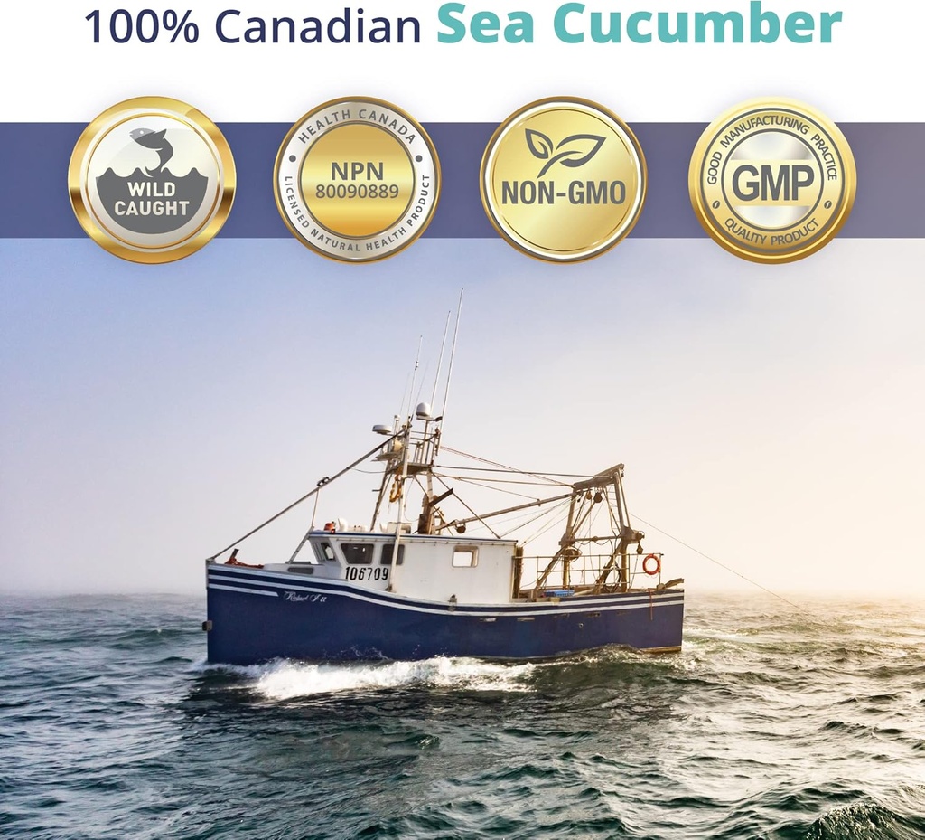 100% Sea Cucumber Powder Capsule 30Caps 3