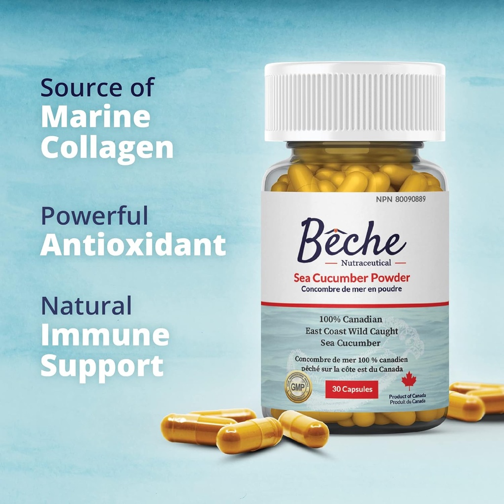 100% Sea Cucumber Powder Capsule 30Caps 4