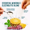 FlavCity Fruit Punch Electrolytes Powder Packets - 28 Hydration Packets - No Added Sugar - Hydration Powder with Real Fruit & Unrefined Sea Salt - Keto & Gluten-Free (28 Stick Packs) 4