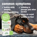 HomeoPet Leaks No More, Safe, Gentle, and Natural Cat and Dog Urinary Incontinence Relief, 15 Milliliters 4