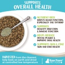 Raw Paws Organic Kelp Powder for Dogs & Cats (16-Ounce) - Supports Thyroid, Digestive & Immune Health - Dried Sea Kelp for Dogs - Seaweed Powder Supplement 5